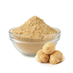 Extracto de Melena de León OEM 50% Premium, Polvo de Hericium Erinaceus Rico en Polisacáridos para la Salud Cerebral y el Apoyo a la Concentración - Product Image 1