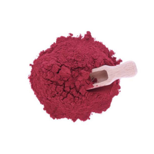 Poudre d'extrait de betterave indienne biologique Fittree International Gujarat – Soutien avancé à la circulation sanguine – Nutraceutique - Product Image 5