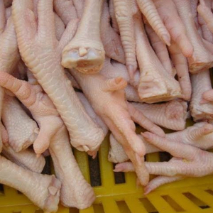 Frozen <b>Chicken</b> Paws Premium Bulk Supply for Commercial Kitchens - Product Image 5