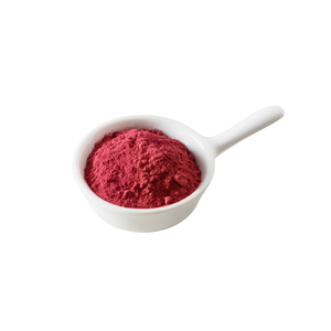 Organic Beetroot Powder Premium Red Root <b>Extract</b> for Capsules Skin Care and International Supply Market - Product Image 2