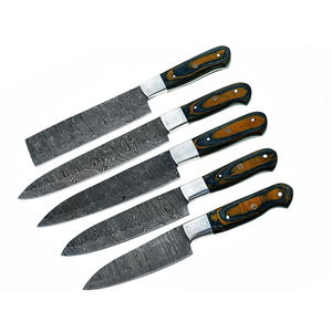 Ensemble de couteaux de chef en acier damas à 67 couches, fabriqués à la main, 5 pièces, manche en bois, ambidextres, durables, couverts de cuisine professionnels - Product Image 1