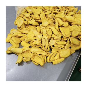 Tropical Jackfruit Fruit Chips Crunchy Crisps Factory Wholesale Distribution Supply Worldwide Buyers - Product Image 1