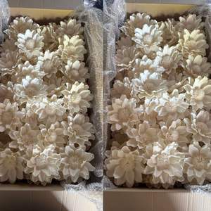 Flores de Magnolia de Madera Sola de Gran Tamaño, 15-16 CM, Varilla de Fibra Vegetal de Sesbania, Aromaterapia, Hechas a Mano, Sostenibles, Decorativas Perforadas - Product Image 4