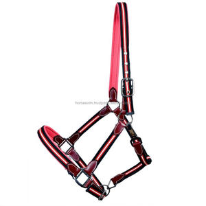 Licou de cheval en Nylon, en cuir, motif fantaisie, soldes - Product Image 1