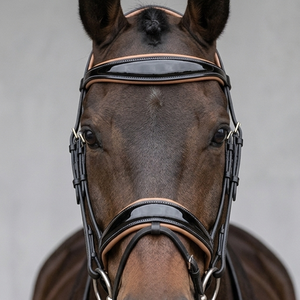 บังเหียนม้าหนังวัวแท้สั่งทำพิเศษ ดีไซน์สวยงาม ทรง Anatomic Monocrown ตกแต่งด้วยหนังแก้ว ทนทาน สวมใส่สบาย รับผลิตแบบ OEM/ODM - Product Image 5