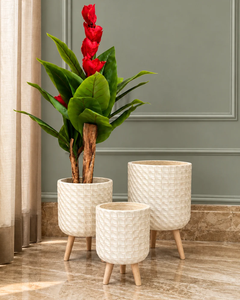 Macetas Decorativas de Hierro Ecológicas de Primera Calidad con Acabado de Recubrimiento en Polvo para Proveedores de Jardinería al por Mayor - Product Image 2