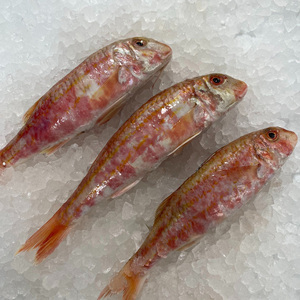 Venta al por mayor de mullet rojo entero congelado, suministro a granel, calidad premium, bajo en azúcar y carbohidratos, cajas de mariscos congelados en stock. - Product Image 1