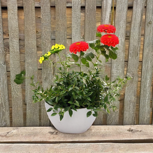 Maceta elegante montada en la pared media redonda para el hogar y el jardín - Product Image 1