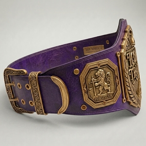 Ceinture de championnat de boxe, design élégant, construction de haute qualité, parfaite pour les récompenses sportives et les présentations spéciales - Product Image 3