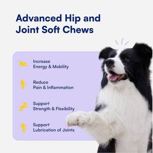 Friandises à mâcher saveur poulet pour chiens et chats, marque privée, soutien avancé des articulations et du système immunitaire, huile de graines de chanvre à absorption rapide - Product Image 5
