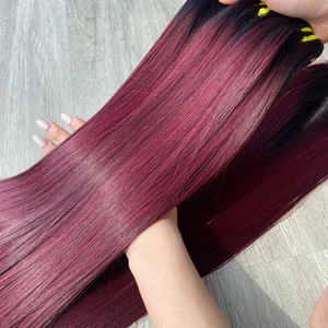 Borgoña Bone Straight Venta al por mayor 100% Raw Virgin Vietnamita Cabello humano Super Double Drawn Hair Extension - Product Image 1