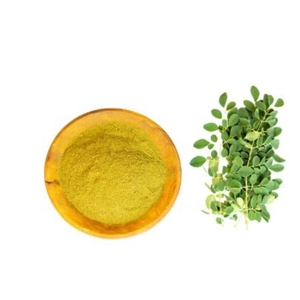 Pure Moringa Powder Traditional Harvest Dehydrated Leaves Baking Ingredient Commercial Kitchen Sourcing Volume - Product Image 6