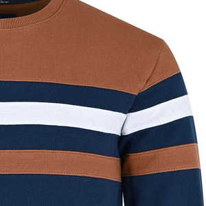 Sweat-shirt pour homme personnalisé OEM ODM de haute qualité, prix d'usine, doux, confortable, respirant, 300g, vêtements décontractés d'hiver, fabricant en gros - Product Image 3
