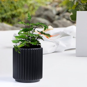 Mini pot de fleurs en liège durable pour une utilisation décorative - Product Image 1
