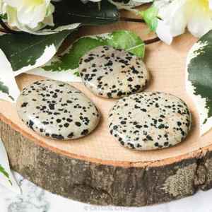 Piedra de Jaspe Dálmata Natural, Ovalada y Lisa, Cristal Curativo, Piedra de Palma, Piedra de Bolsillo para el Miedo, para Feng Shui, Decoración del Hogar, Venta al por Mayor - Product Image 2