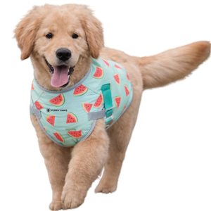 Chaleco refrescante para perros Watermelon, chaleco ligero y transpirable para verano con correa ajustable para perros pequeños, medianos y grandes - Product Image 2