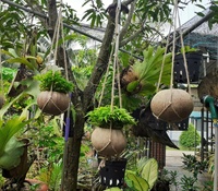 De haute qualité Écologique De Noix De Coco Shell Pot Pot De Fleur Produits D'exportation Du Vietnam