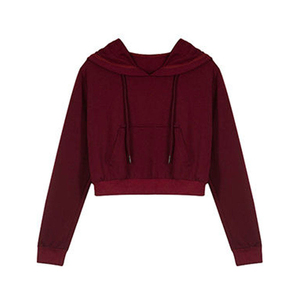 Hoodies courts pour femmes en molleton brossé personnalisé avec logo thermocollé, finition surjetée, pour l'entraînement et les vêtements de sport - Product Image 2