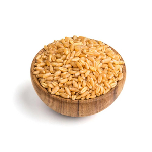Blé en Grains de Qualité Supérieure en Gros – Approvisionnement en Vrac de Qualité Alimentaire – Stock Prêt à l'Exportation - Product Image 3
