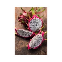Hoogwaardige verse roze drakenvrucht, zoet, sappig, exotisch tropisch fruit, groothandelsleverancier voor retailers, importeurs en distributeurs