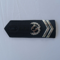 Épaulettes de grade brodées à la main en bullion pour homme, épaulettes tactiques personnalisées, épaulettes d'uniforme, insignes
