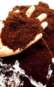 100% Tourbe de coco biologique pour l'horticulture et l'agriculture-norme d'exportation - Product Image 4