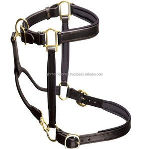 Design classique fait à la main confortable doux rembourré double cousu licou de cheval en cuir avec matériel en laiton réglable solide - Product Image 2