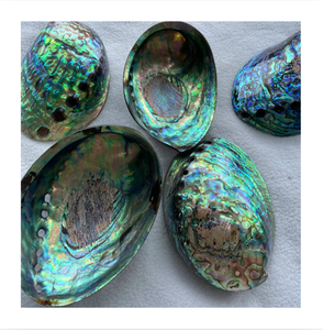Coquille d'ormeau naturelle brute pour artisanat, matériau pour la décoration intérieure DIY, coquille organique écologique pour l'art décoratif - Product Image 1