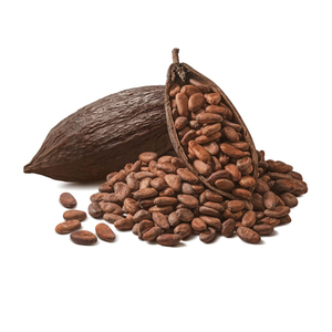 Export en gros de fèves de cacao de qualité supérieure, qualité premium, prêtes à être expédiées - Product Image 1