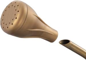 Arrosoir en acier inoxydable couleur or avec becs de pulvérisation amovibles, taille moyenne, pour l'arrosage des plantes d'intérieur et d'extérieur, des fleurs et des jardins - Product Image 2