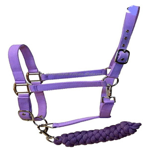 Course de chevaux en nylon licou en plusieurs couleurs et tailles personnalisées nickel massif ou laiton variante matériel réglable Nylon Halter cheval - Product Image 5