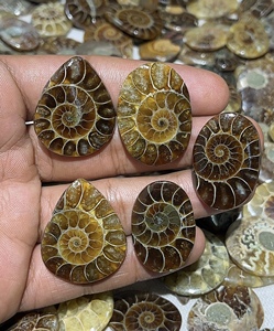 Cabochons en ammonites fossiles naturels de formes variées pour pendentifs et bagues en argent, et pierres fossiles de haute qualité en vrac pour l'exportation mondiale - Product Image 5