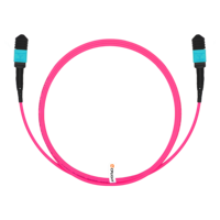 Cable Troncal Multimodo Elite OM4 MPO-12 (Hembra UPC) a MPO-12 (Hembra UPC), 12 Fibras, Tipo B, Plenum (OFNP), Magenta