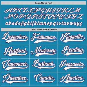 Custom Panther Blue White Purple Hockey Jersey Sublimation Breathable Team Uniform Stitched Training Sportswear Men Youth Top - Product Image 3