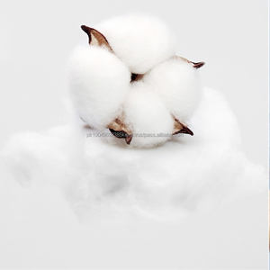 À la mode 420 grammes argent renard bois sweat à capuche 100% coton lourd doublé polaire brodé Logo ODM personnalisable pour l'hiver - Product Image 4