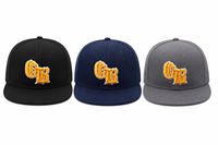 Casquette de sport unisexe 6 panneaux, 100% coton, avec logo personnalisé, broderie 3D, sans couture, thermocollée, nouvelle collection, unie, tendance, toutes saisons, vente en gros, OEM