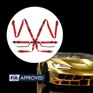 สายรัดสำหรับแข่งรถที่ได้รับการรับรองจาก Fia สำหรับตัวแทนจำหน่าย - Product Image 1