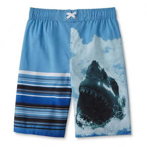 Shorts de plage décontractés pour hommes en nylon à taille élastique, design tendance, personnalisables, très demandés - Product Image 2