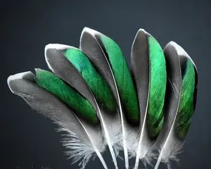 Plumes de canard teintées en gros, couleurs assorties, pour la fabrication de bijoux, les costumes, la décoration de chapeaux et la création artistique - Product Image 3