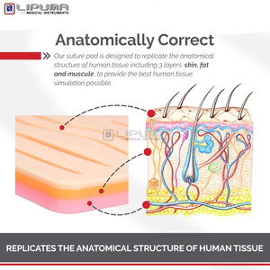 Suture <b>Practice</b> Kit Silicone Suturing <b>Pad</b> Medic Instruments Students Professionals Reusable Suture <b>Pad</b> Pre Cut Wounds Suturing - Product Image 5