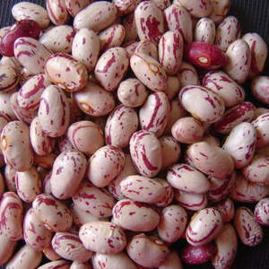 Frijoles Blancos Austriacos de la Más Alta Calidad, Secos Naturales, Ligeros, Buen Precio, a Granel, 25 kg, Blancos con Motas, 24 Meses de Vida Útil para Alimentos - Product Image 1