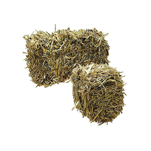 Paille de paille de blé disponible pour les acheteurs commerciaux recherchant une offre de gros volume régulière - Product Image 4