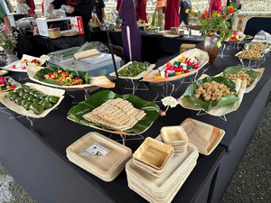 Platos Desechables de Nuez de Areca de Pangreen Global Corporation, 100% Compostables y Biodegradables, Platos Ecológicos para Fiestas, Vietnam - Product Image 6