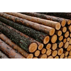 Madera de teca de primera calidad, troncos de teca redondos secos a granel, troncos de teca natural duraderos en venta al mejor precio - Product Image 1