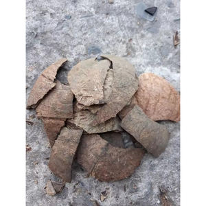 Cáscaras de coco secas y trituradas para aplicaciones de materia prima química e industrial del caucho - Product Image 3