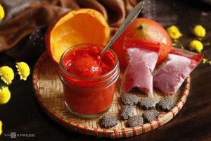 Pulpe de fruit de Gac congelée du Vietnam, couleur rouge naturelle, qualité export en vrac - Mme Tarina - Product Image 2