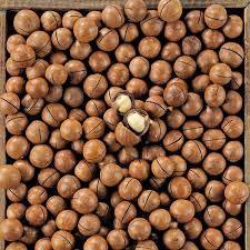Vietnam Macadamia Nuts Shelled and Unshelled Premium Quality with Competitive Price and Rich Nutrition - Product Image 5