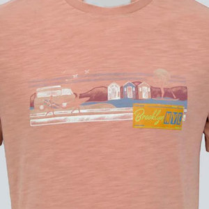 Nouveauté T-shirt en coton pour homme, manches courtes, col rond, coupe classique, prix raisonnable, design respirant et doux, impression de logo personnalisée - Product Image 3