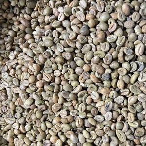 Café Robusta de ferme à goût neutre, processus naturel, tamis 14, faible humidité, matière première emballée en sac PP de 60 kg, prix - Product Image 1