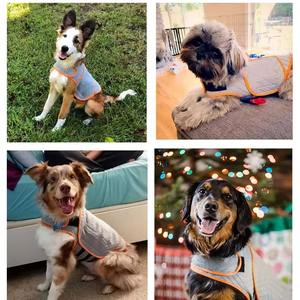 Adorable veste pour chien avec capuche oreilles d'ours, vêtements d'hiver doux et chauds pour animaux de compagnie, sweats à capuche moelleux pour chiots, vente en gros - Product Image 6